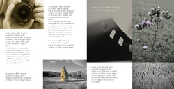 photography_brochure_7_india