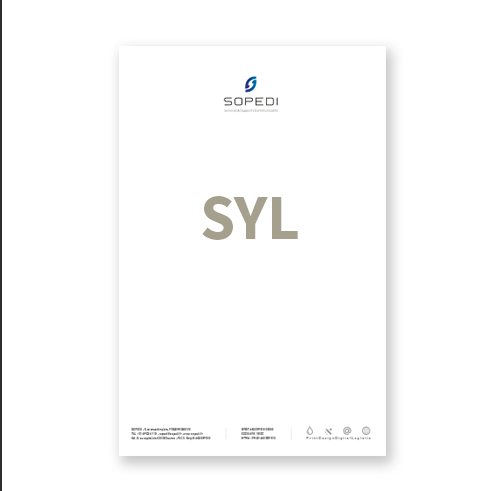 Tete de lettre sylvain